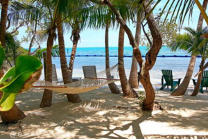 Sargassum deflection boom at resort beach