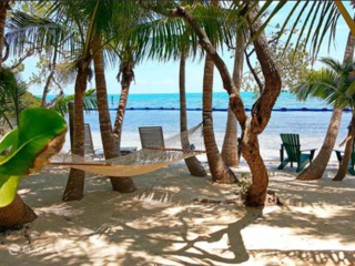 Sargassum deflection boom at resort beach