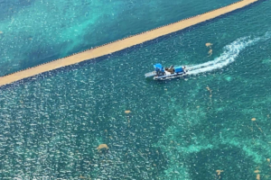Seaweed floating barrier