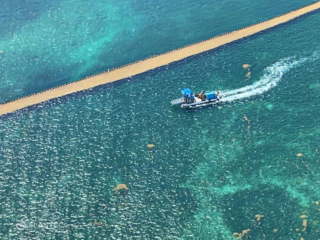 Seaweed floating barrier