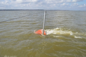 BoomVane im Wasser sprühen