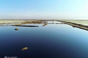 Pit oil recovery skimmer