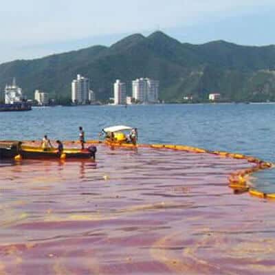 棕榈油繁荣