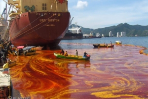 Palm oil spill
