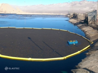 Raffenate pond organics skimmer