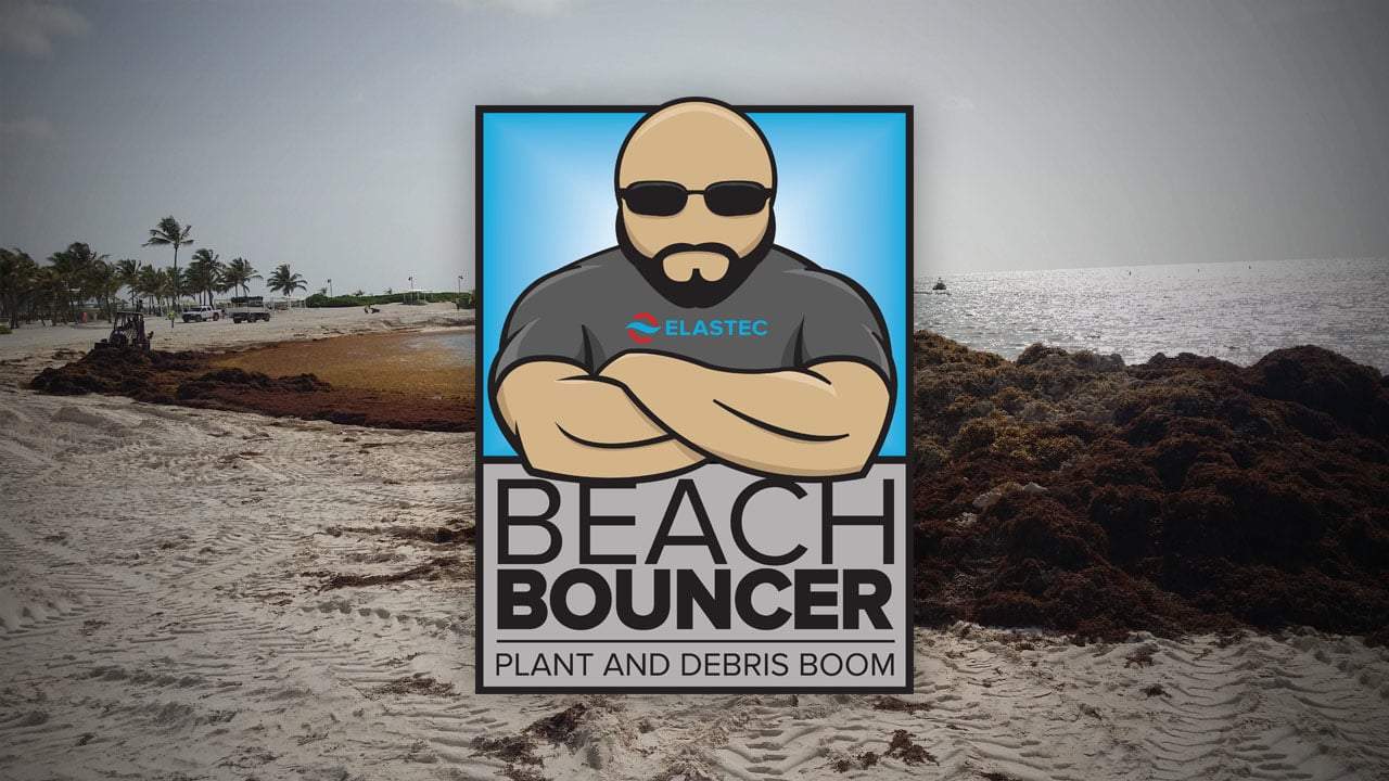 Beach Bouncer