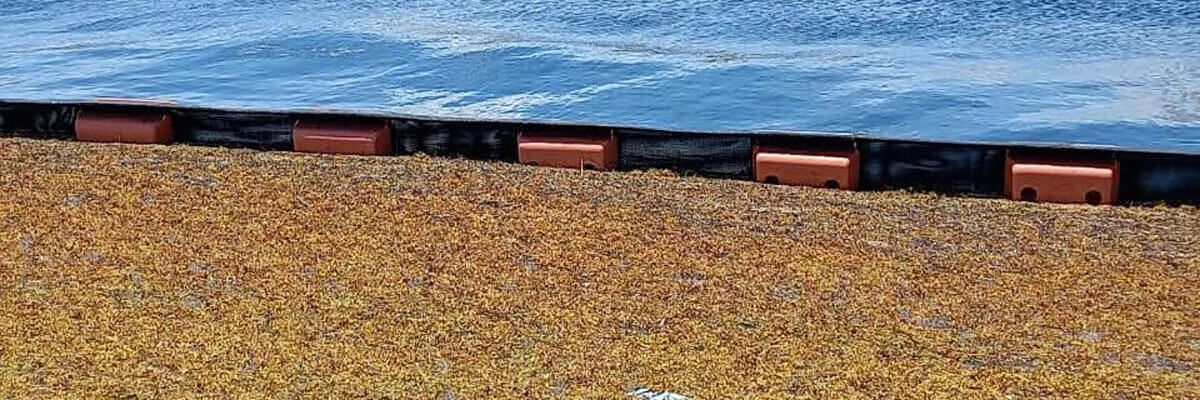 Beach Bouncer Sargassum exclusion boom