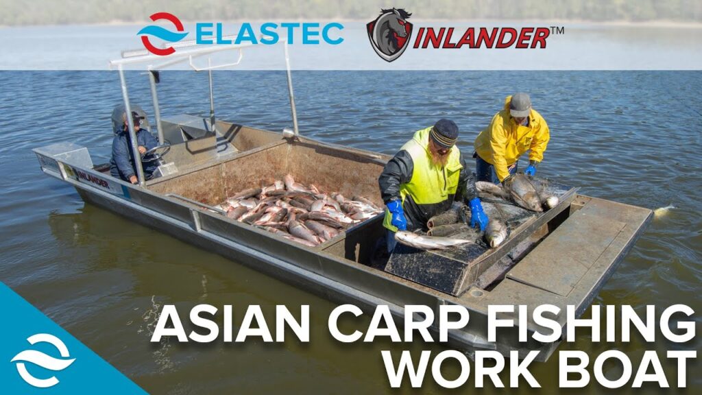 ELASTEC Inlander Work Boat pour la pêche à la carpe asiatique