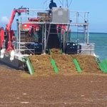 Seaweed removal boat