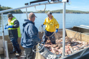 Asian Carp commercial fishing boat