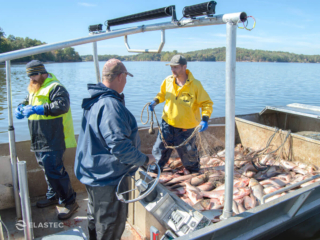 Asian Carp commercial fishing boat