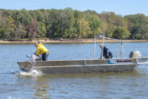 Barco de rede carpa asiática