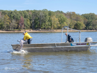 Asian Carp net boat