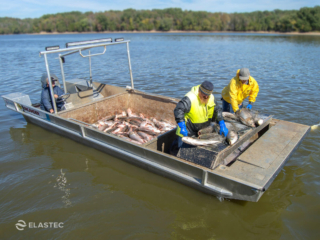 Asian Carp work boat