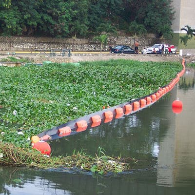 水生植物の障壁