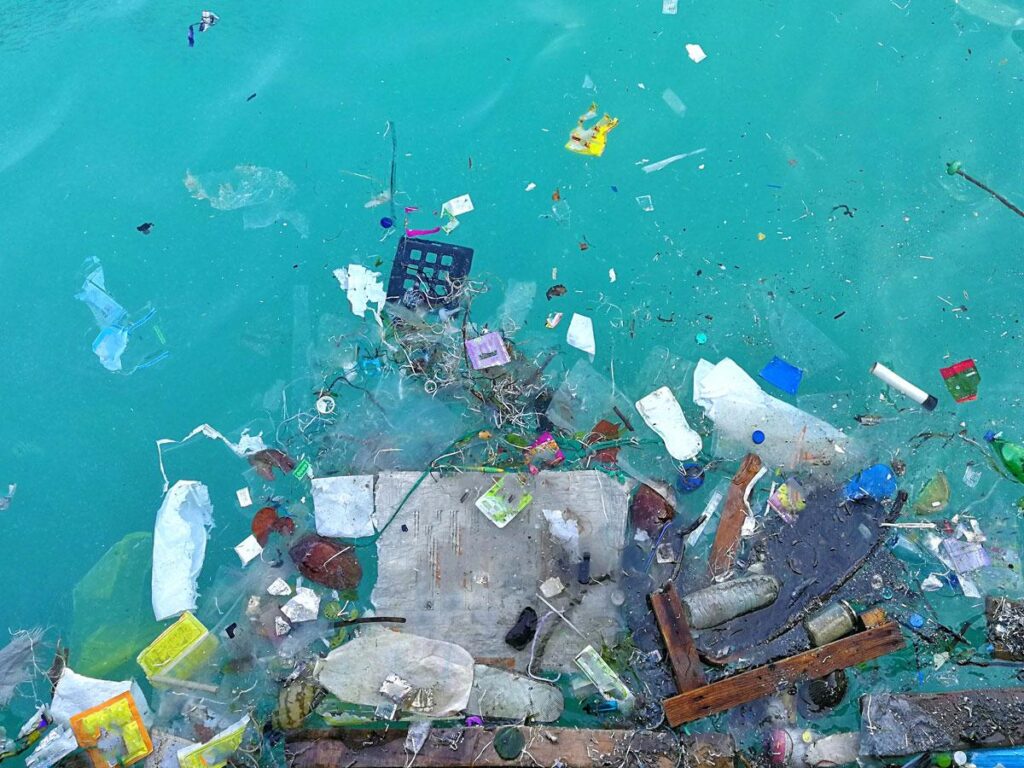 Plastic pollution in the ocean
