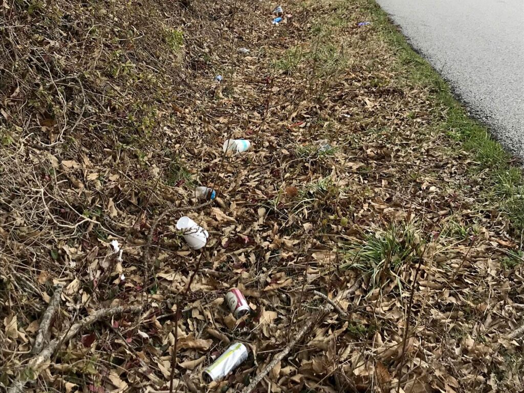 Roadside trash litter