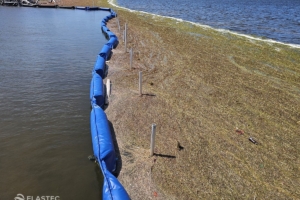 Barrier for seaweed control