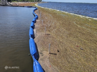 Barrier for seaweed control