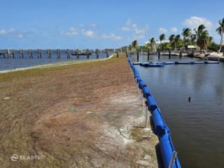 Seaweed control barrier in water